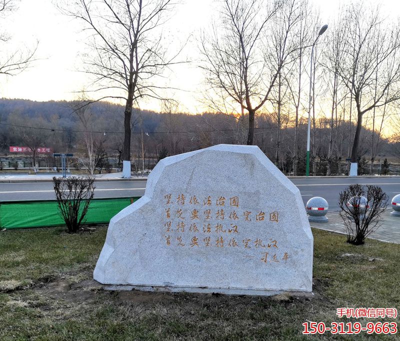 堅(jiān)持依法治國首先要以憲制國 堅(jiān)持依法治國首先要以憲制國